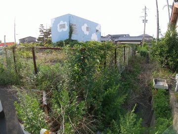 草刈り作業前2